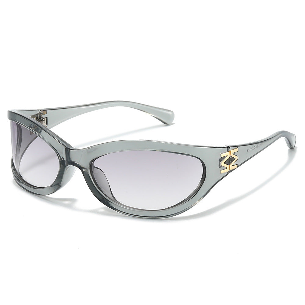 Sterling cat-eye sunglasses in Transparent Gray Purple